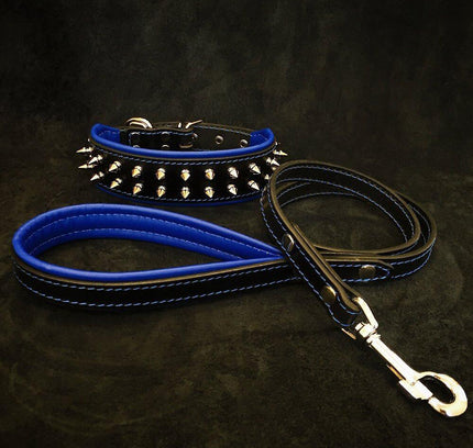 "Frenchie" Set- collar & leash. Blue-0