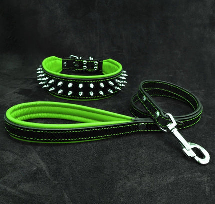 "Frenchie" Set- collar & leash. Green-0