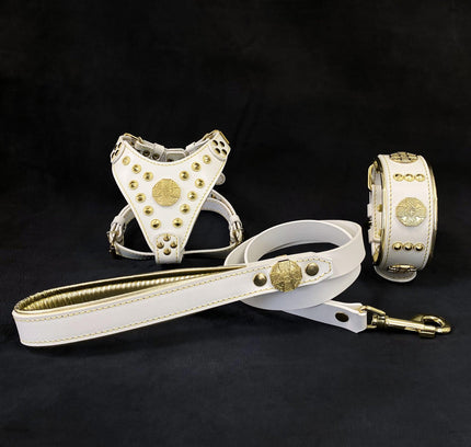 "Maximus White&Gold" Small dog SET - Harness - collar - lead-0