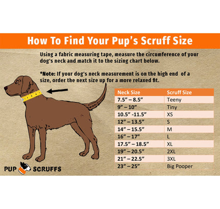 Pizza Luva Pup Scruff-2