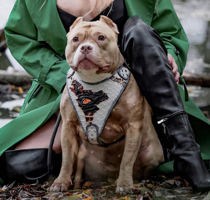 The “Dragon's Eye” Harness LIMITED!-4