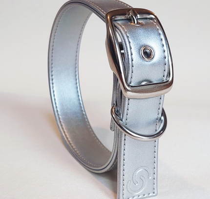 Silver apple leather dog collar-0