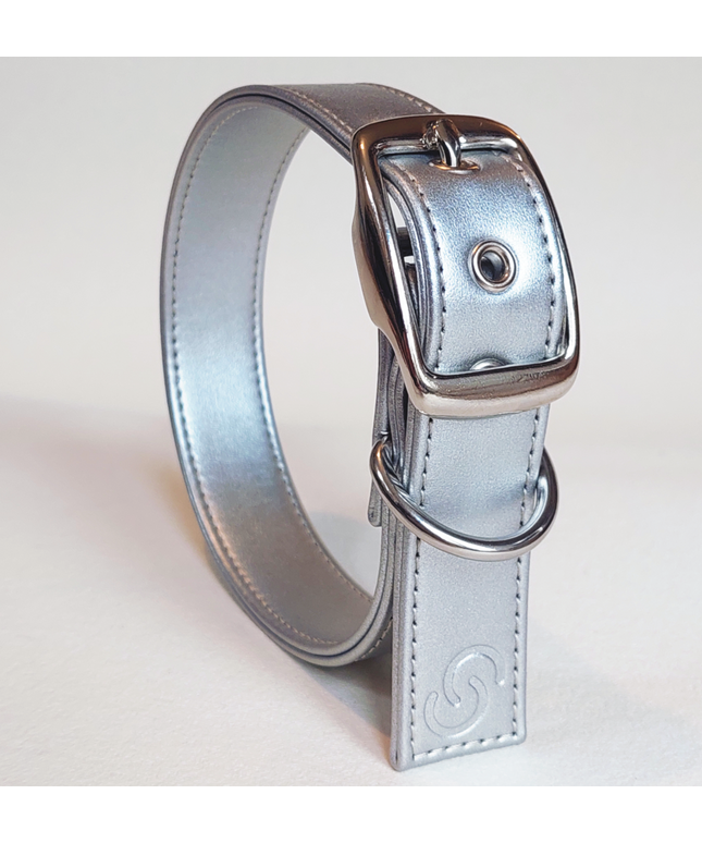 Silver apple leather dog collar-0