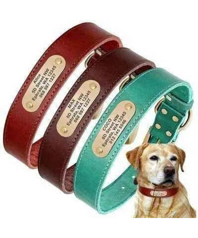 Luxury Leather Dog Collar with Personalised Engraving-0