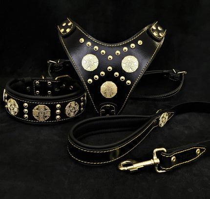 "Maximus Black" BIG dog SET- Harness - collar - lead. Brass rivets-0