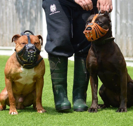 'Maximus'' Silver Basket Muzzle-1