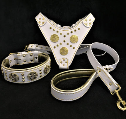 "Maximus White" BIG dog SET- Harness - collar - lead. Brass rivets-0