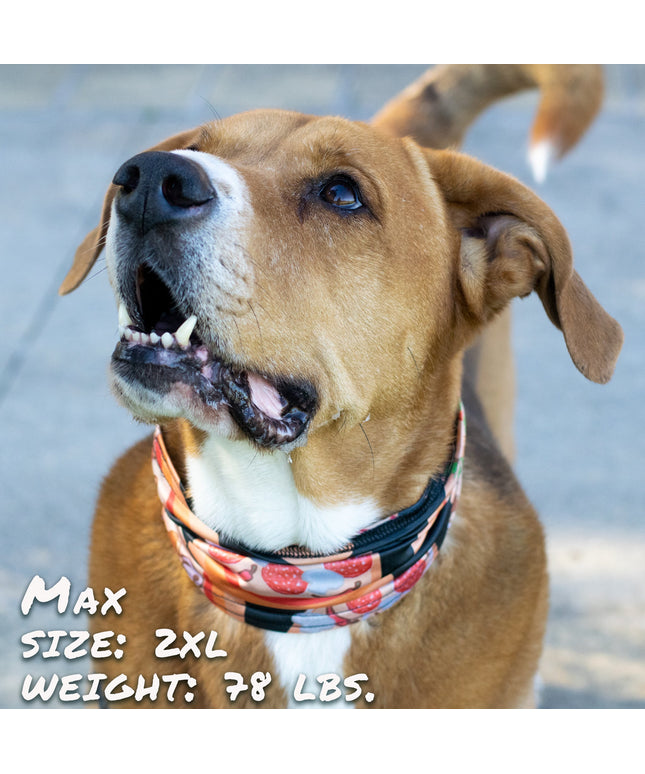 Pizza Luva Pup Scruff-0