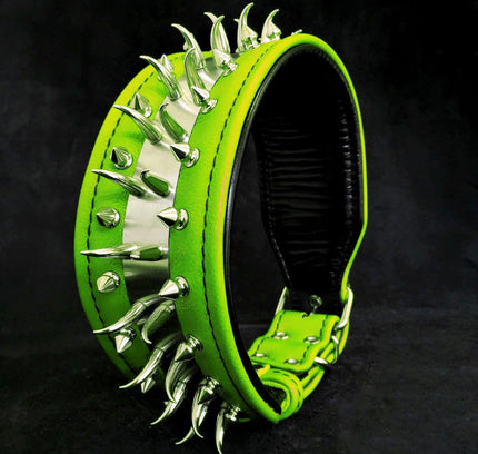 'Predator'' collar in Green-0