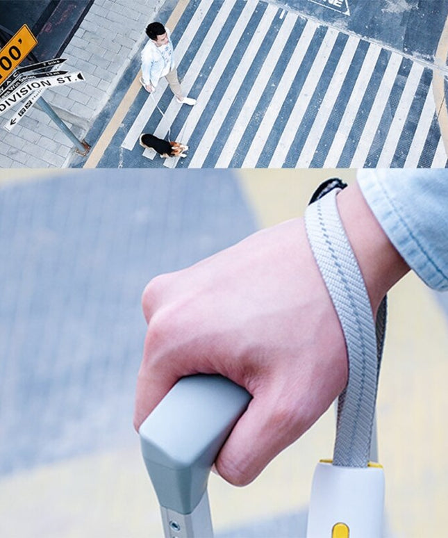 Pet Dogs Leash Running Elasticity Hand Freely Pets Training Products Dog Harness Collar Jogging Lead Adjustable Waist Rope-4