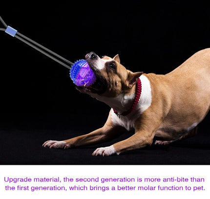 Interactive Pet Toys For Cats Dogs Training Suction Cup Push Ball Toys Elastic Ropes Pet Tooth Cleaning Chewing IQ Exercise New-3