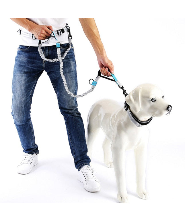 Leash Traction Rope Pet Dog Running Belt Elastic Hands Freely Jogging Pull Dog Leash 2 Colors-0
