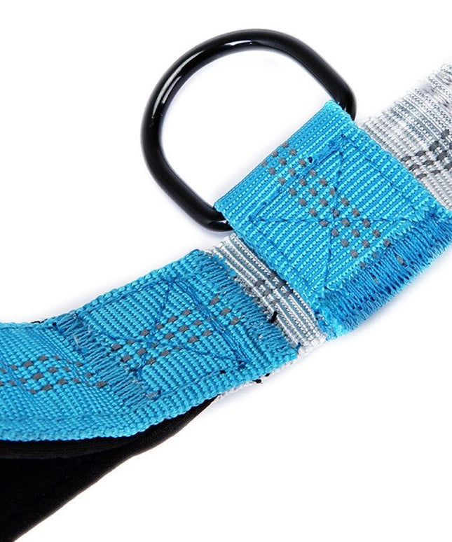 Leash Traction Rope Pet Dog Running Belt Elastic Hands Freely Jogging Pull Dog Leash 2 Colors-2