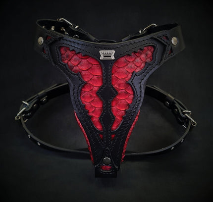 The ''Red Dragon'' harness Medium Size-0