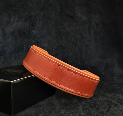 "Stylish" 2 inch wide dog collar-1