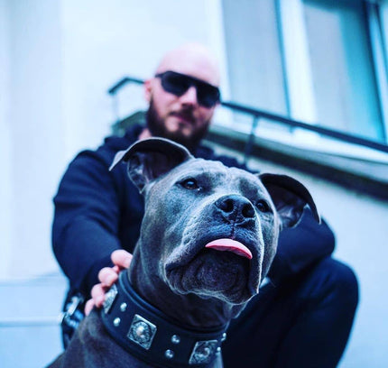 The all Black "Eros" collar 2.5 inch wide-1