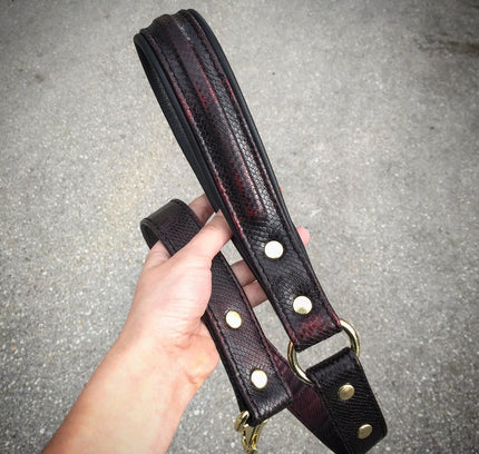 The ''COBRA'' leash-1