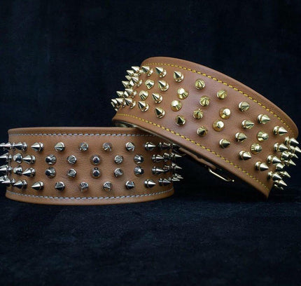 The "Crown" collar-0