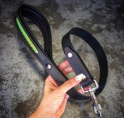 The ''D`Albertis'' collar-2