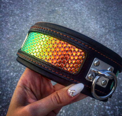 The ''D`Albertis'' collar-1