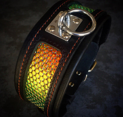 The ''D`Albertis'' collar-0