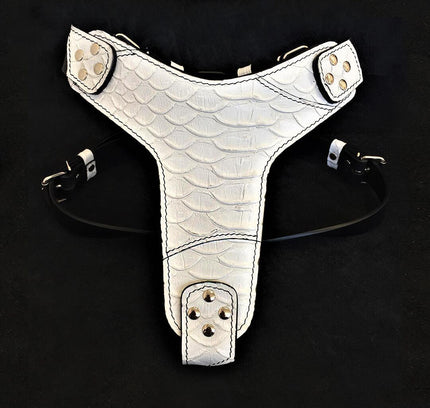 The ''Dragon Scale'' harness-0