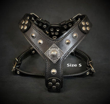 The ''Eros'' harness black Medium Size-1