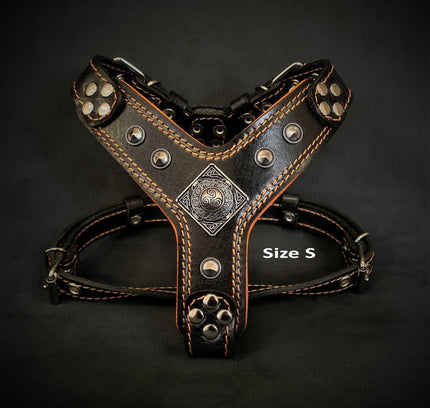 The ''Eros'' harness Black & Orange Small to Medium Size-1