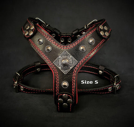 The ''Eros'' harness Black & Red Small to Medium Size-1