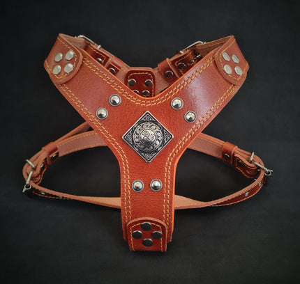 The ''Eros'' harness brown Small to Medium Size-0