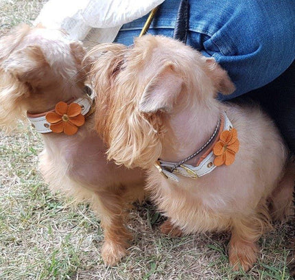 The "Flower" handmade puppy collar-2