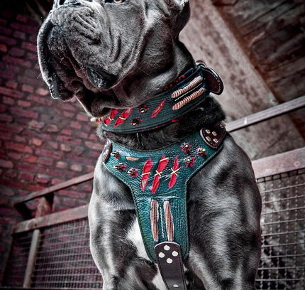 The "Haunted'' collar LIMITED-3