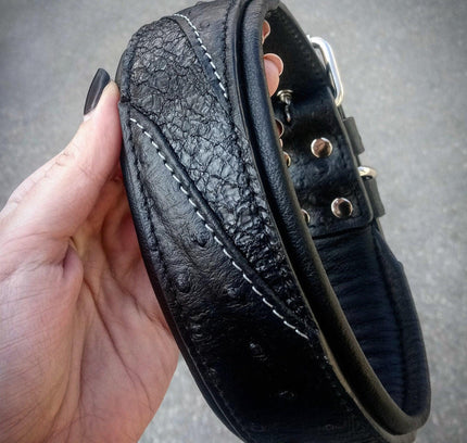 The "Korona" collar BLACK EDITION-1