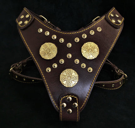 The "Maximus" brown harness