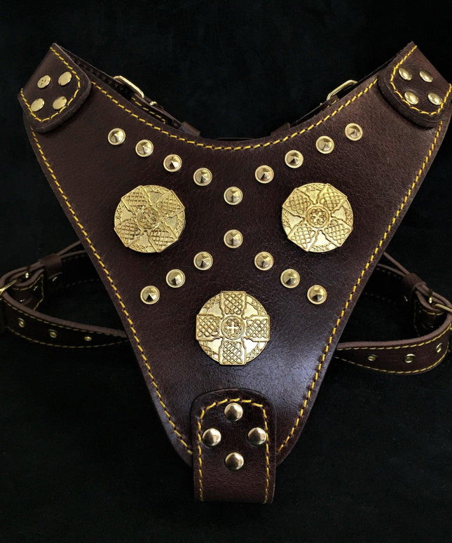 The "Maximus" brown harness