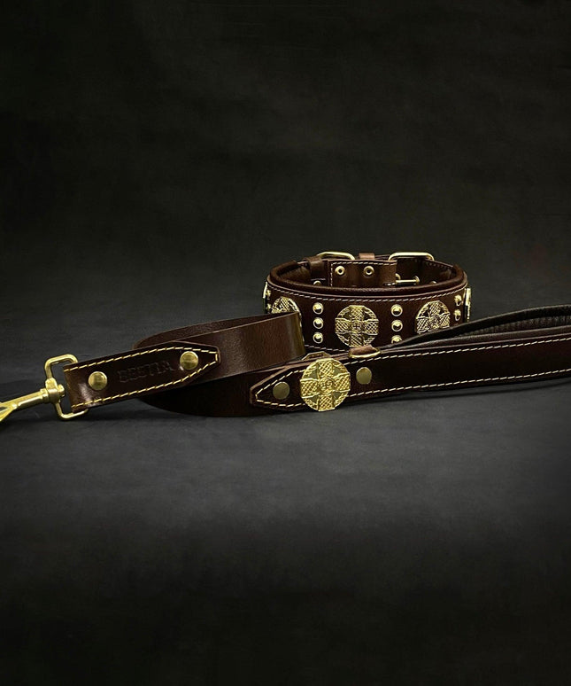 The "Maximus" collar 2.5 inch wide brown & gold-3