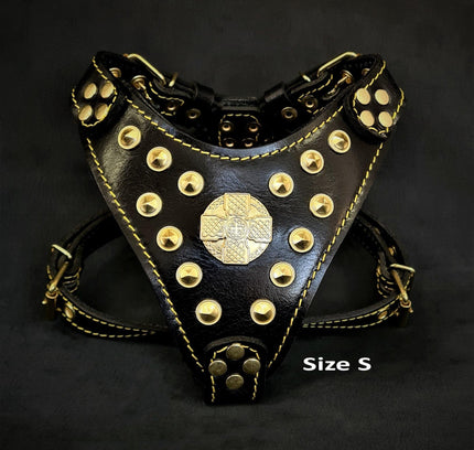 The ''Maximus'' harness Black & Gold  Small to Medium Size-1