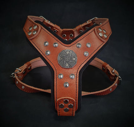 The ''Maximus'' harness brown & silver Small to Medium Size-0