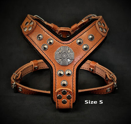 The ''Maximus'' harness brown & silver Small to Medium Size-1