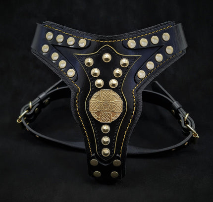 The ''Maximus'' harness V2 Medium Size-0