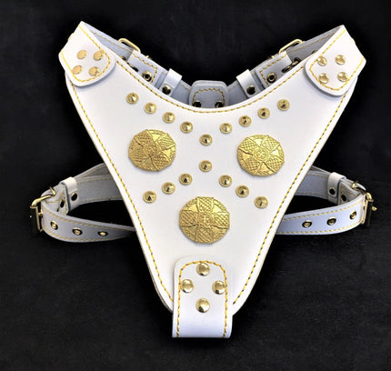 The "Maximus" harness White-0
