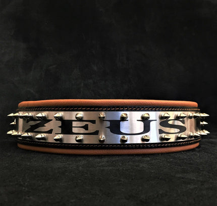 The "Metal" collar- personalized!-0