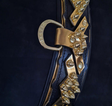 The ''Midas'' Collar Gold-1