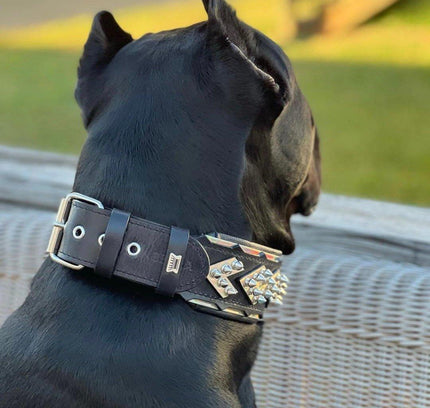 The ''Midas'' Collar Silver-4