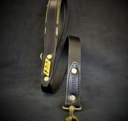The ''Midas'' leash-0