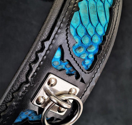 The ''Morelia Python'' collar-1