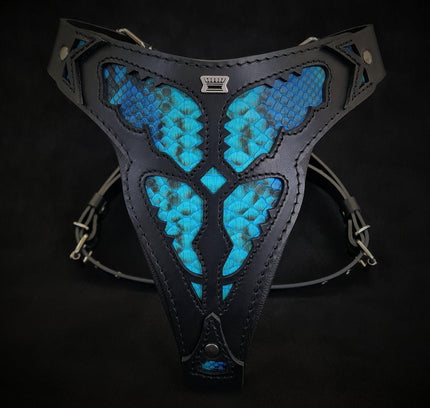 The ''Morelia Python'' harness-0