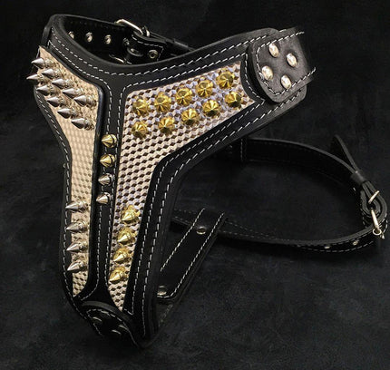 The ''Platinum'' harness-0