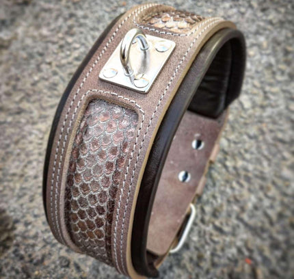 The ''Python'' exclusive design