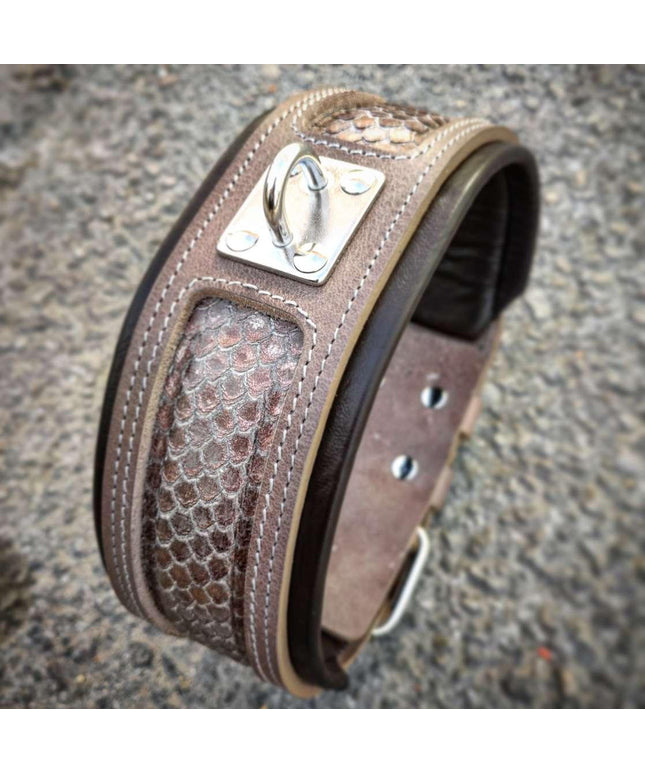 The ''Python'' exclusive design